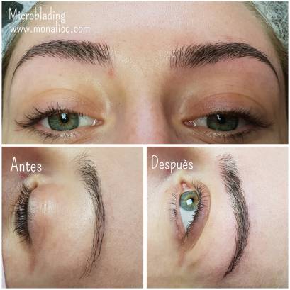 Primer para cejas en Monalico