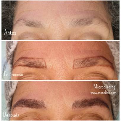 Tatuajes para cejas en Monalico