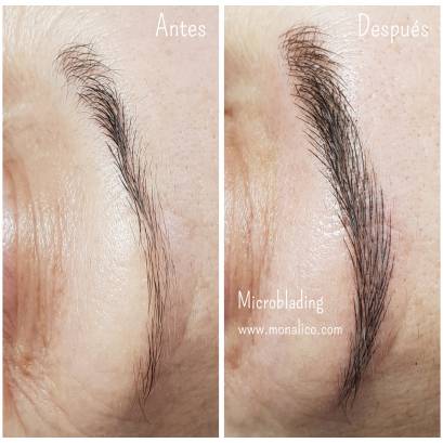 Microblading shapes en Monalico