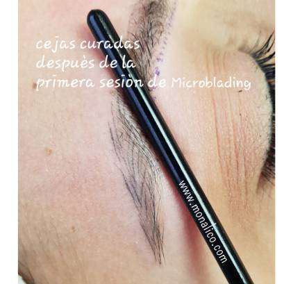 Cejas pelo a pelo antes y despues en Monalico